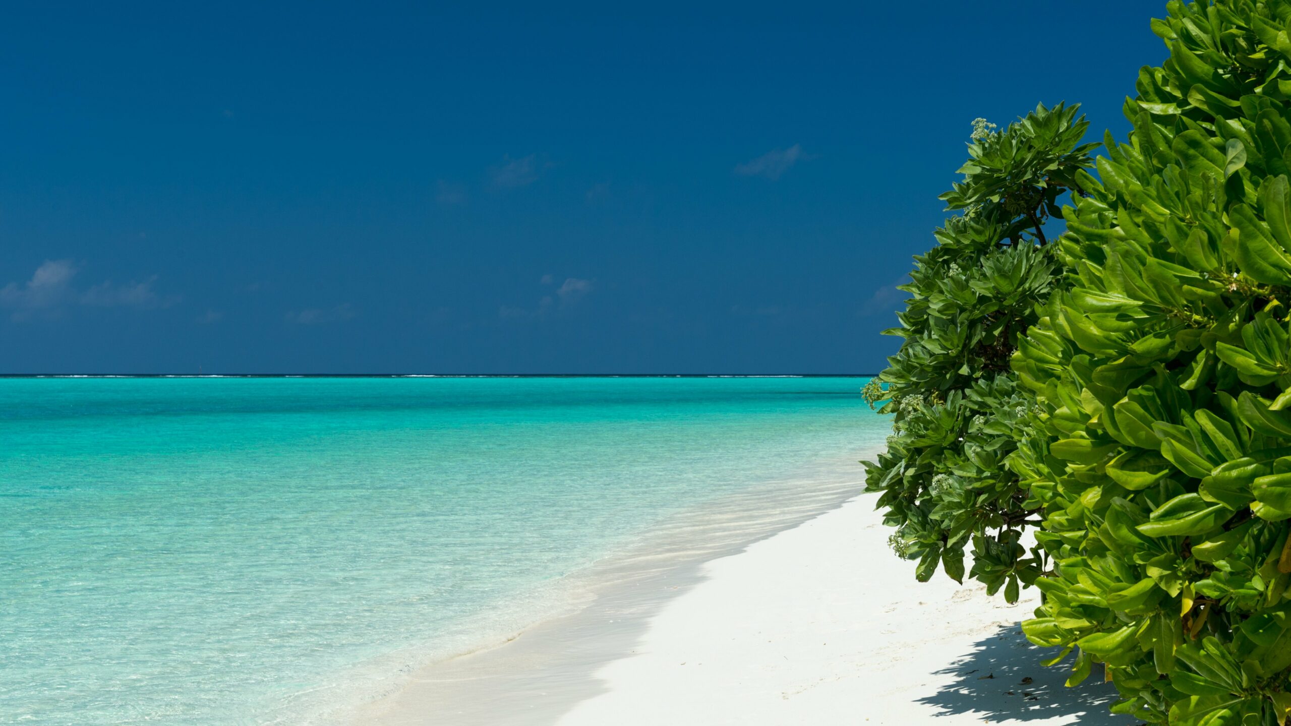 Maldive