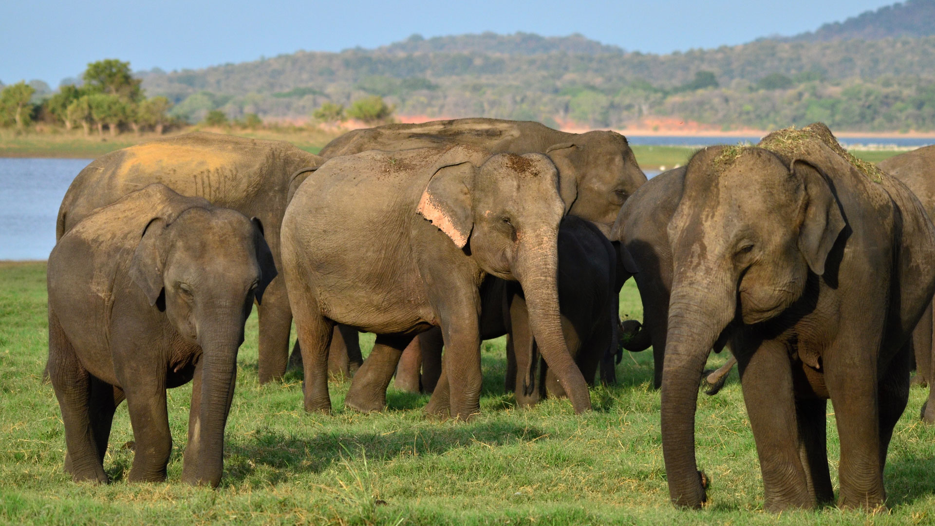 Sri Lanka